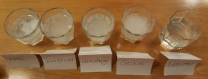 Wasser Test & Leitungswasser Test 